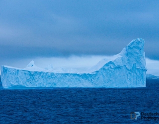 Iceberg
