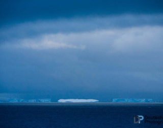 Iceberg Trio