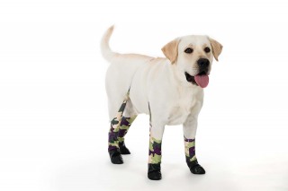 Product shoot of Walkee Paws camouflage waterproof leggings