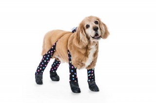Product shoot of Walkee Paws waterproof leggings