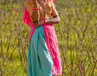 Pushkar, India