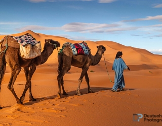The Sahara Desert, Morocco
