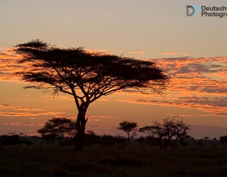 Serengeti National Park, Tanzania
