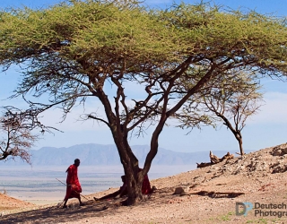 Serengeti National Park, Tanzania